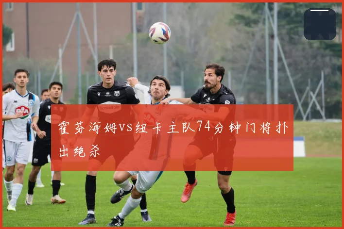霍芬海姆vs纽卡主队74分钟门将扑出绝杀
