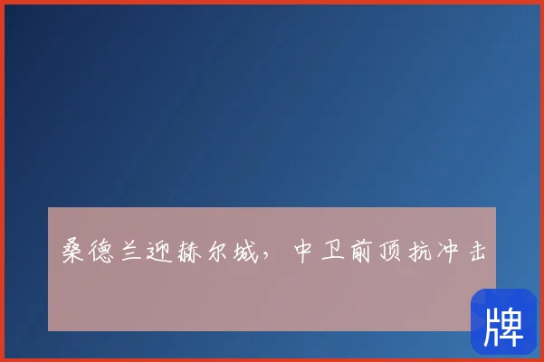桑德兰迎赫尔城，中卫前顶抗冲击